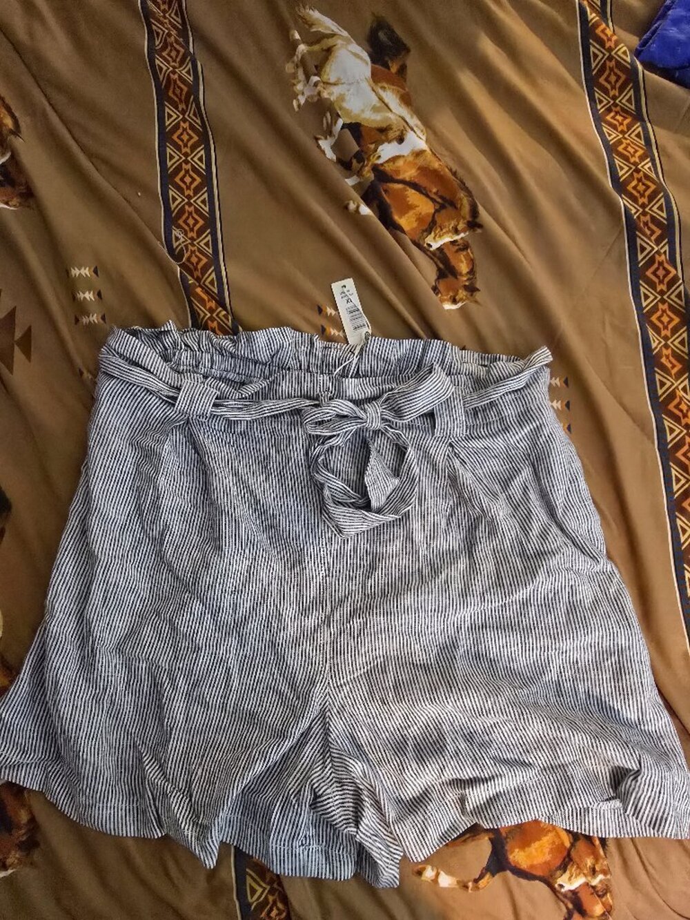 Maxstudio shorts